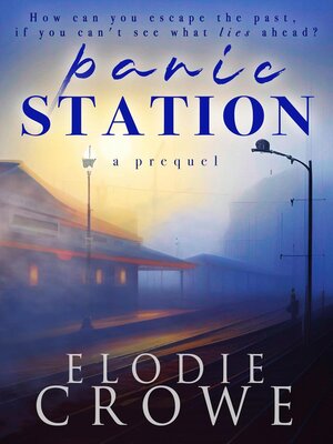 cover image of Panic Station